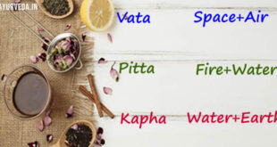 Doshas and five Elements