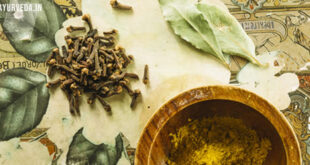 Central Ayurveda Research