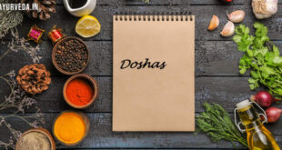 Doshas Introduction