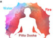 Pitta Dosha