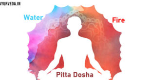 Pitta Dosha