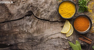 Ayurveda Begin