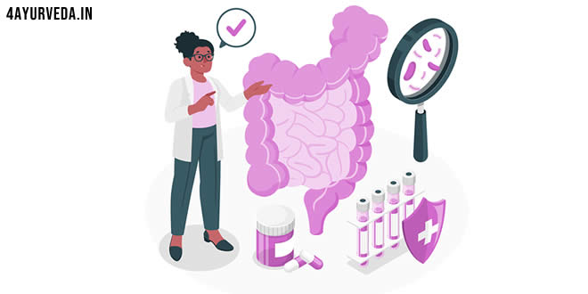 Herbs for constipation