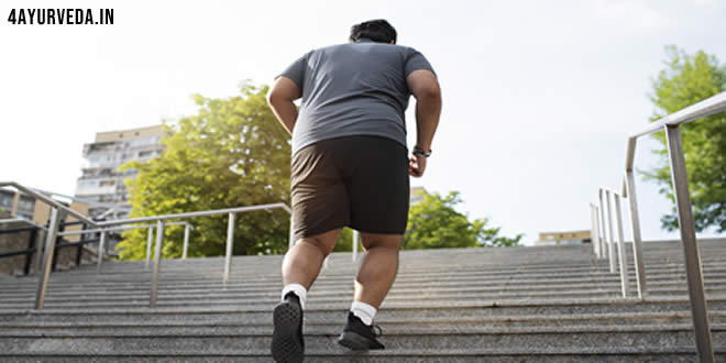 Home remedies obesity